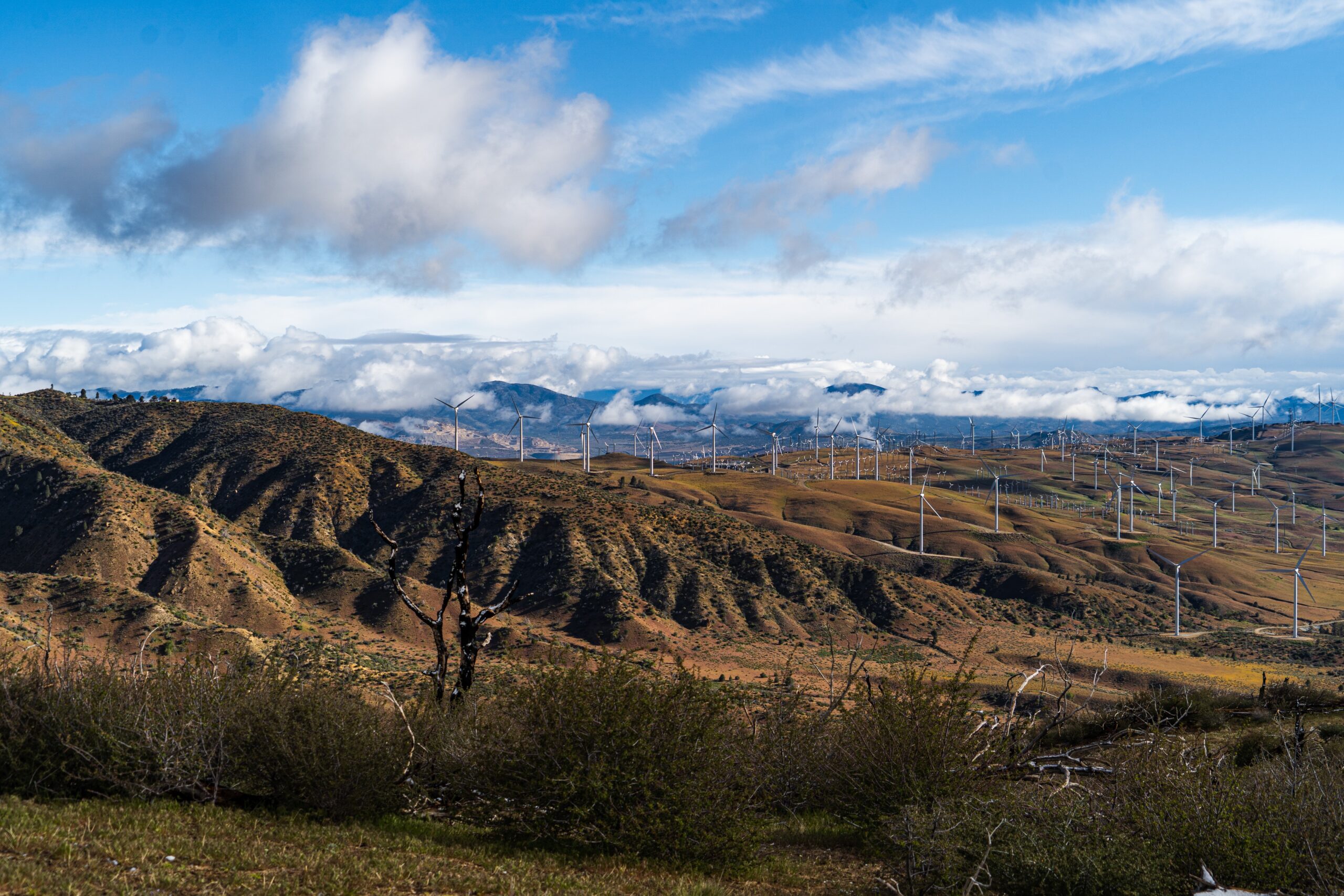 Day 48: Nearo to Tehachapi