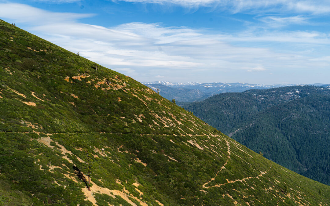 Day 92: Sierra City to Sierra Buttes Road