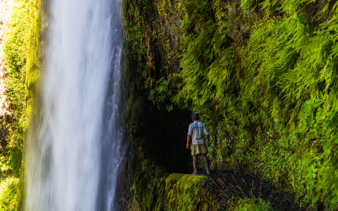 Day 148: Tentsite at 2,124 to Cascade Locks via Eagle Creek Alternate