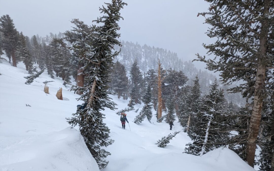 Day 82: Snow Field to Lone Pine to Mammoth Lakes