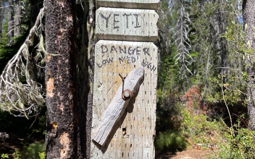 Day 146: Unlisted Site at 2072.1 to Timberline Lodge Campground