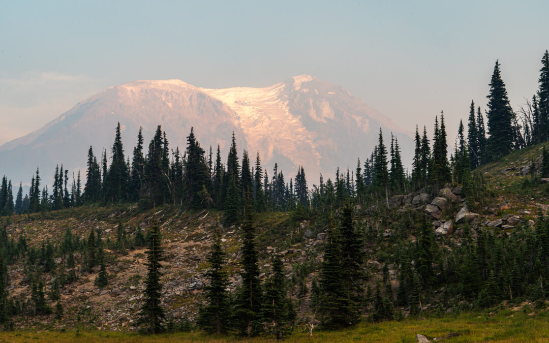 Day 157: Trout Lake to Lava Spring (via Cascade Locks)