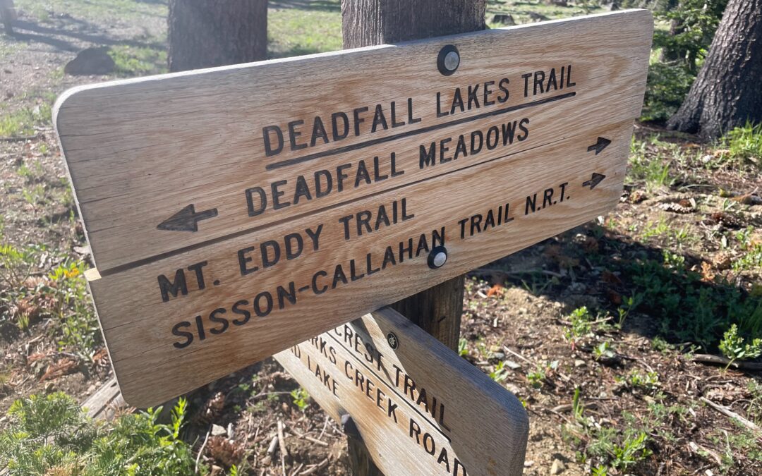 Day 112: Deadfall Lakes to Masterson Meadow Junction