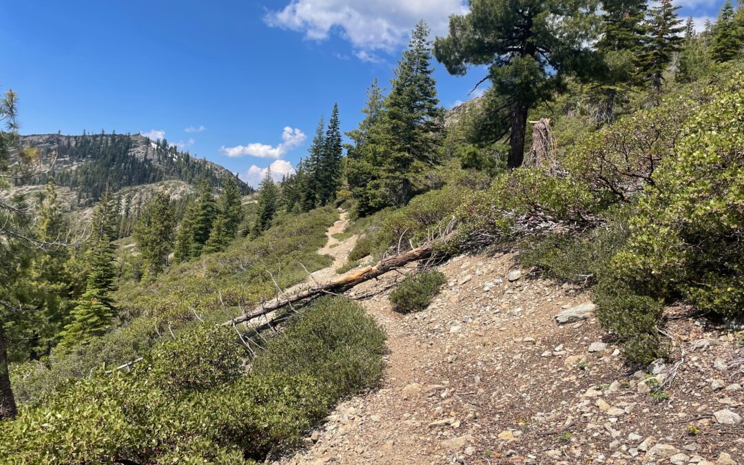 Day 111: Tentsite at mile 1515.9 to Deadfall Lakes